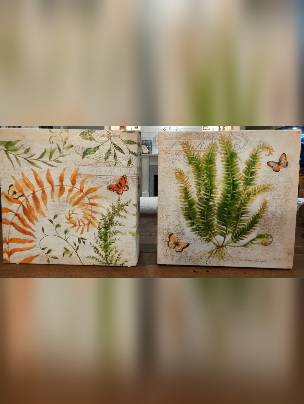 Susan Winget Botanical Fern and Butterfly Canvas Wall Art - Set of 2